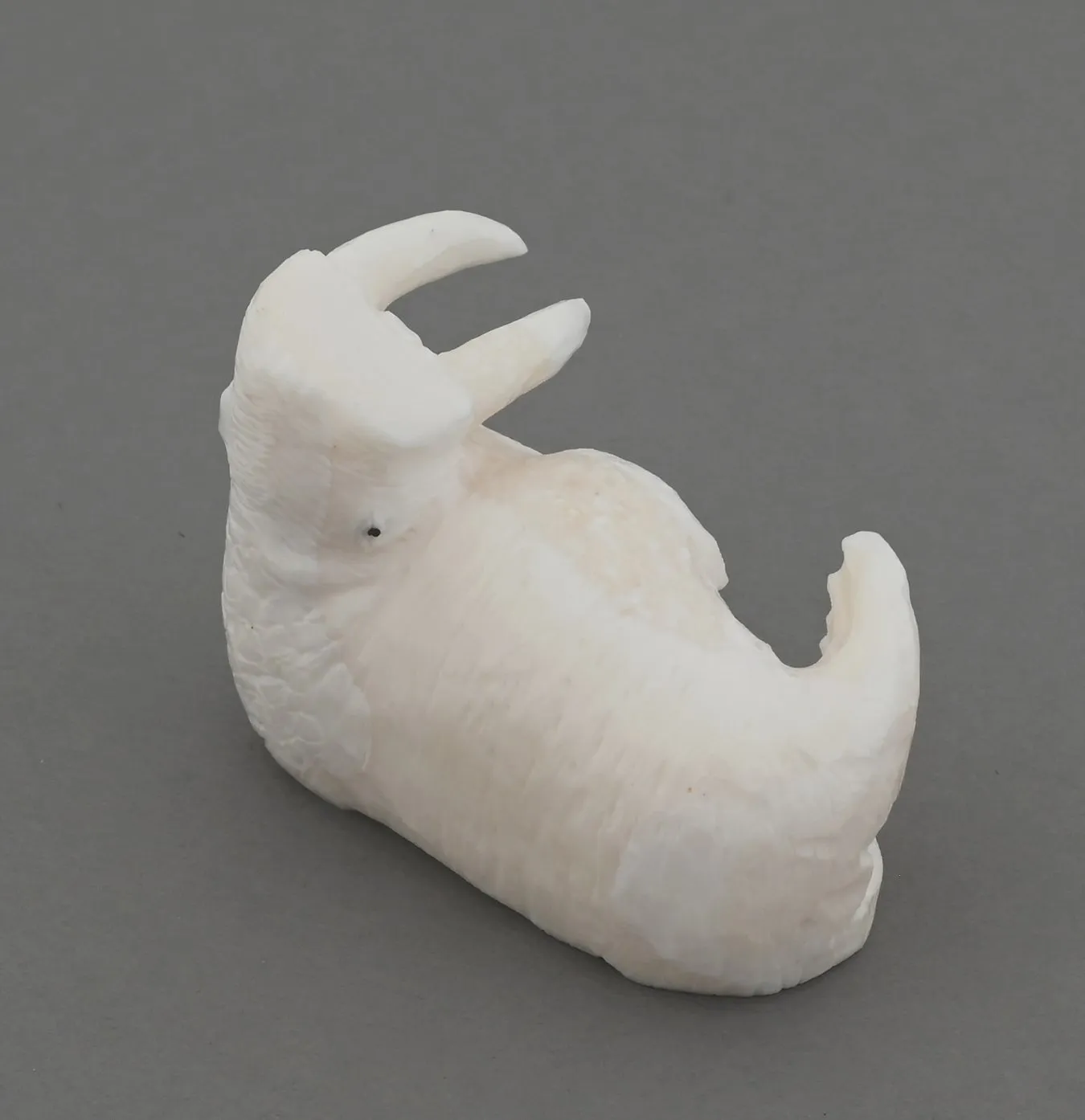 Walrus by Rich Nowpotuk