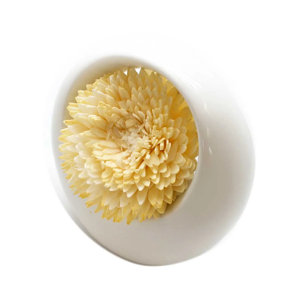 Wholesale Sola Aroma Flower Diffuser