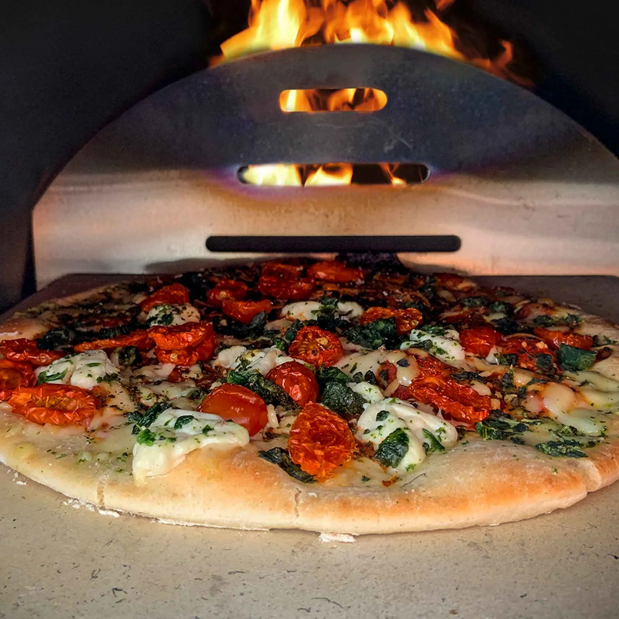 Wood-Fired 14" Pizza Oven and Smoking Oven with Pizza Peel & Cover - DG218